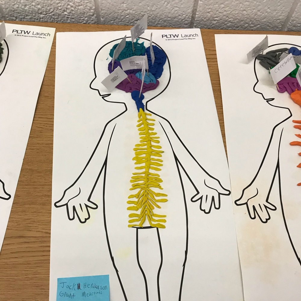 Meet your Posher, Sue